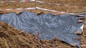 Massengrab in Mainz: Bauarbeiter entdecken über tausend Skelette