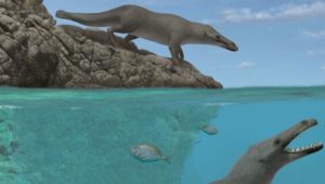 Fossil eines vierbeinigen Wals entdeckt