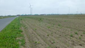 Warum Brandenburgs Bauern Glyphosat einsetzen