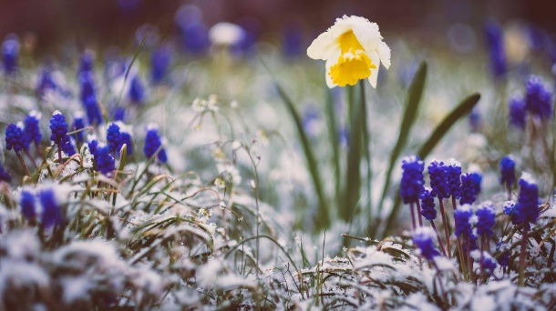 Wetter in Deutschland: Frühlingswetter macht Pause – Schnee und Frost